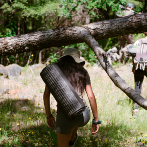 Programa Full Day Sentir el Bosque