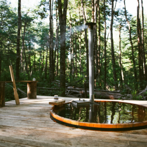 Programa Half Day Tinajas y Bosque Nativo