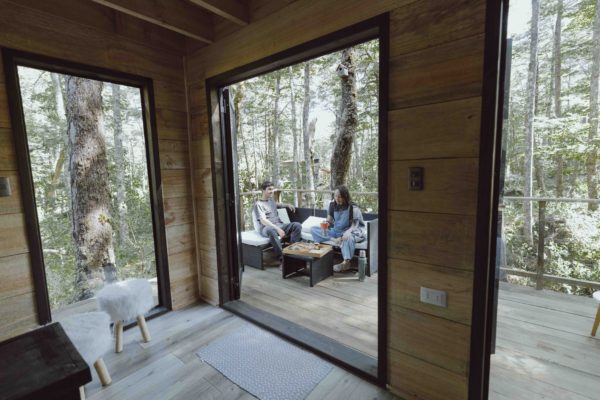 Alojamiento Refugio de Bosque - Imagen 7