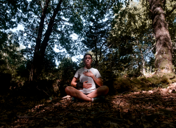 Programa Full Day Sentir el Bosque - Imagen 5