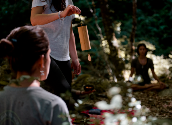 Programa Full Day Sentir el Bosque - Imagen 6