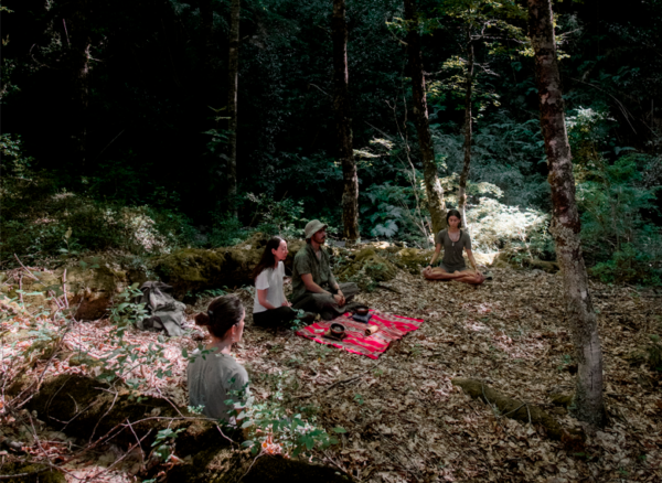 Programa Full Day Sentir el Bosque - Imagen 7