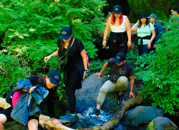 Programa Full Day Sentir el Bosque - Imagen 10