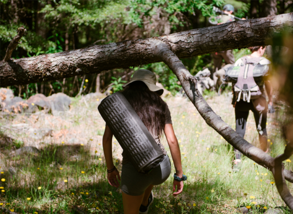 Programa Full Day Sentir el Bosque