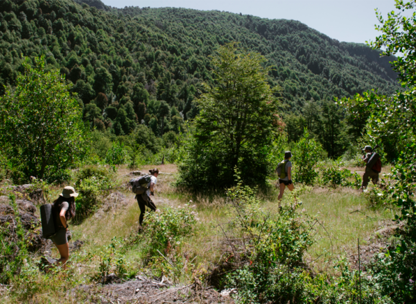 Programa Full Day Sentir el Bosque - Imagen 2
