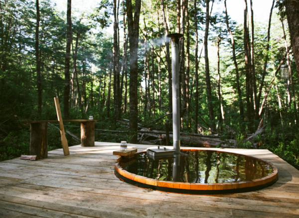 Programa Half Day Tinajas y Bosque Nativo