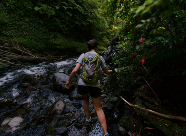 Programa Full Day Sentir el Bosque - Imagen 4